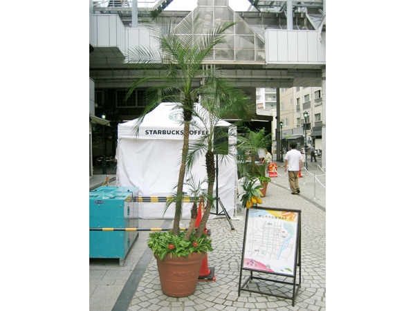 岡山コーヒーショップ路面店 グリーン装飾
