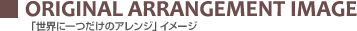 『世界に一つだけのアレンジ』イメージ