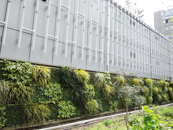 港区水素ステーション 外構壁面緑化