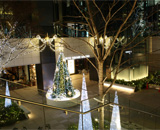 東京スクエアガーデン クリスマス 装飾 イルミネーション クリスマスツリー