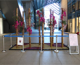 14 丸の内 マイプラザ 日本庭園 正月 装飾 焼竹 胡蝶蘭 松