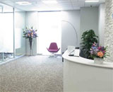 14 オフィス エントランスロビー 観葉植物 造花 装飾