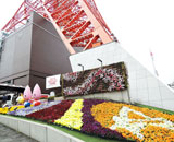 15 東京タワー 壁面 花壇