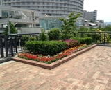 2020年 東京オリンピック 選手村 お台場 花壇 植え替え