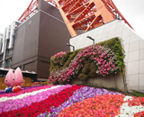 15 東京タワー 塔脚 壁面 花壇