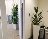 京橋 八重洲 エリア オフィス 壁掛け 観葉植物 インテリア