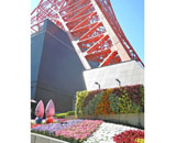 東京タワー 壁面 花壇 カセット式 緑化 システム