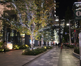 京橋 東京スクエアガーデン イルミネーション オトナ女子 点灯式 LED 装飾