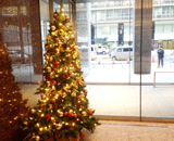 東京建物 日本橋ビル オフィス エントランス クリスマスツリー 設置