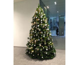 麹町 オフィスビル エントランス クリスマスツリー 設置