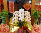 兵庫県 尼崎市 ホテル ホップイン 旧正月 造花 装飾