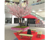 イオンモール むさし村山 桜装飾 フォトスポット