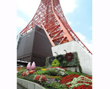 16 東京タワー 壁面花壇 交換