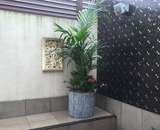 16 町田 HOTEL Reve 観葉植物レンタル