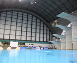 16 日本選手権 水泳 競技大会 観葉植物 期間 レンタル ヴィクトリーブーケ