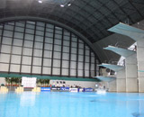 16 日本選手権 水泳 競技大会 観葉植物 期間 レンタル ヴィクトリーブーケ