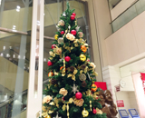 16 荻窪 タウンセブン クリスマス 装飾