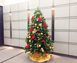 16 都内 横浜 オフィスビル クリスマスツリー