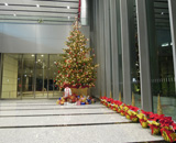 16 港区 バンダイナムコ 未来研究所 クリスマス 装飾