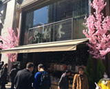 17 銀座木村屋 桜装飾 桜