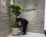 17 新宿 フロントタワー 日本イーエスアイ 造花アレンジ 観葉植物 レンタル