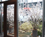 カレッタ汐留 スカイレストラン 中庭 生花 桜装飾