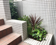 17 尼崎市 南武庫之荘 美容室 macherie 観葉植物 花壇