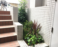 17 尼崎市 南武庫之荘 美容室 macherie 観葉植物 花壇
