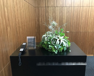 1 7新橋 オフィス カウンター 造花 装飾