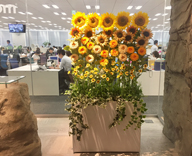 17 西新宿 アニコム損害保険 夏 造花装飾
