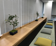 17 新宿区 市ヶ谷 オフィス 観葉植物 レンタル