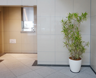 17 日本橋 高級マンション キュロコ日本橋 観葉植物レンタル プリザーブドフラワー 定期 装飾