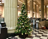 17 中央区 銀行 エントランス クリスマスツリー
