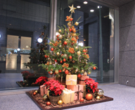 17 八丁堀 綜通ビル エントランス クリスマスツリー 装飾