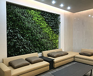 18 千葉市 新築マンション 観葉植物 壁面緑化 施工