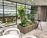 西新宿 富士テレコム オフィス 観葉定期 フェイクグリーン装飾