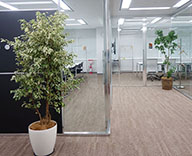 18 銀座 セイムペイジ オフィス 観葉植物 レンタル