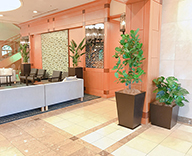 18 尼崎駅前 ホテルヴィスキオ尼崎 観葉植物 リニュアルオープン