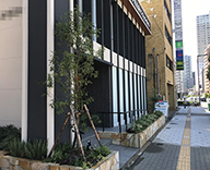 18 9月 大阪市内 オープン マンションギャラリー 花壇 植栽
