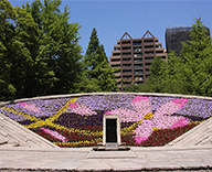 19 東京 墨田区 横網 公園 東京空襲犠牲者を追悼し平和を祈念する碑 花壇 春