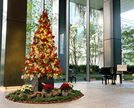 23 中央区 エントランス オフィス クリスマスツリー オリジナル デコレーション SEASONS 事例