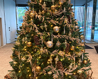 23 大阪難波 エントランス ホテル モダン 大型ツリー クリスマスツリー デコレーション SEASONS 事例