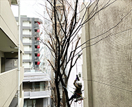 24 東京都 外構 高木剪定 ロープワーク リギング futatoki 事例