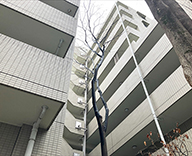24 東京都 外構 高木剪定 ロープワーク リギング futatoki 事例
