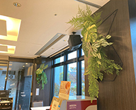24 広島 レストラン 造花装飾 造花ディスプレイ フェイク SEASONS 事例