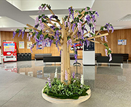 24 有明 客船ターミナル シーズン装飾 イベント装飾 造花装飾 SEASONS 事例