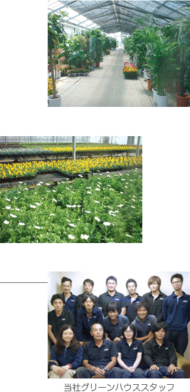 Greenhouse