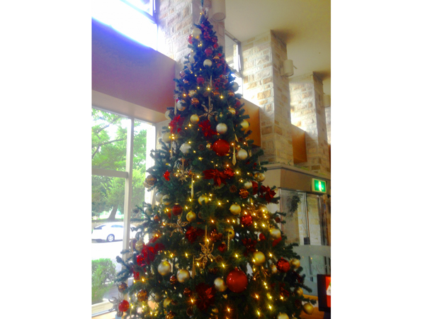 サンルートソプラ神戸 クリスマスツリー