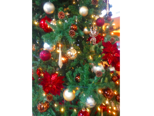 サンルートソプラ神戸 クリスマスツリー