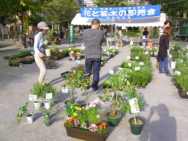 中央区花と苗木の即売会